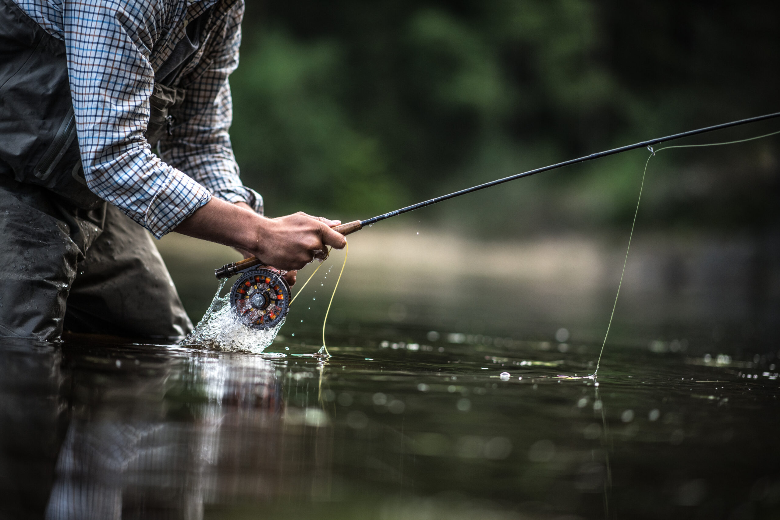 flyfishingstories.net